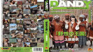 DANDY DANDY-368 Ai Uehara Kingdom Of Wild VOL.2