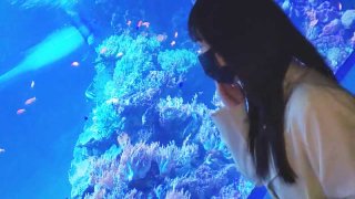 Night aquarium date with nursery school teacher continuous vaginal cum shot