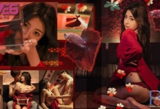 Valentine’s Day Limited Pet-like Girlfriend. Goldfish’s Repayment